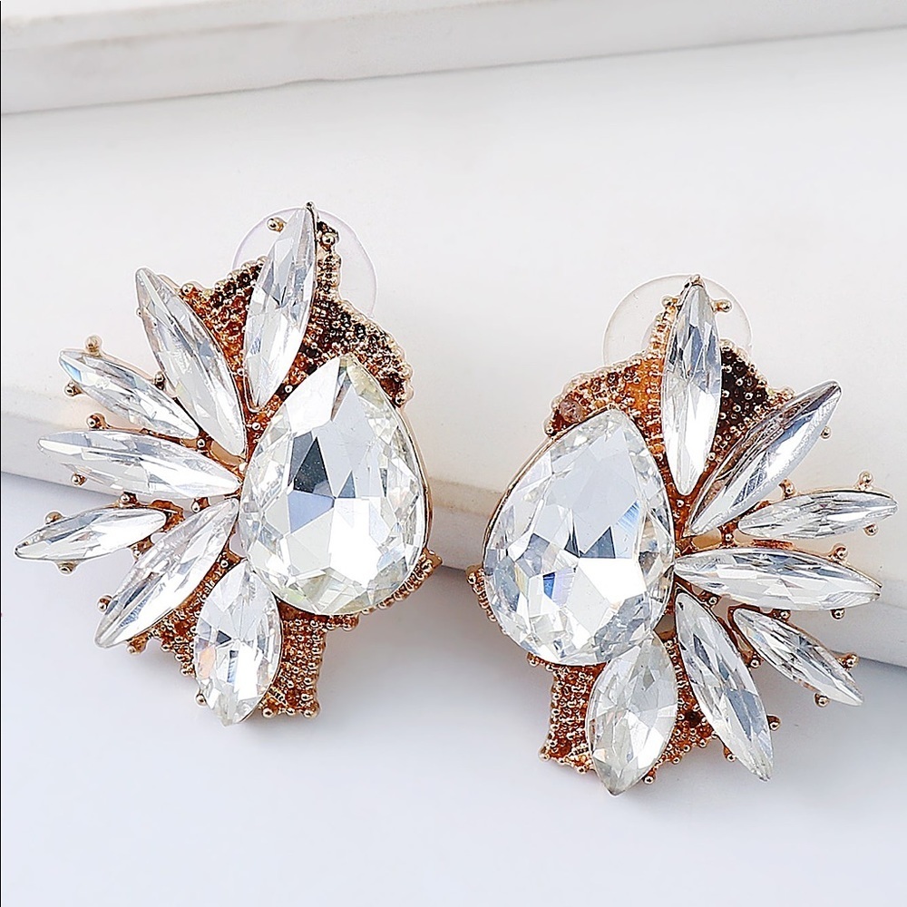 Luxury Look Rhinestone Stud Earrings